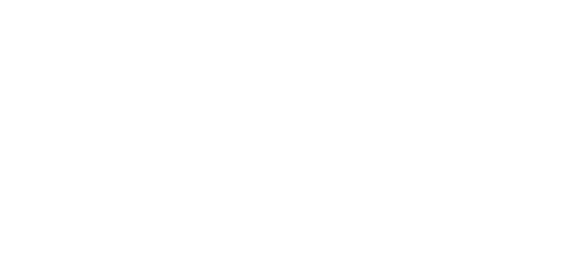 Pontual Garantidora